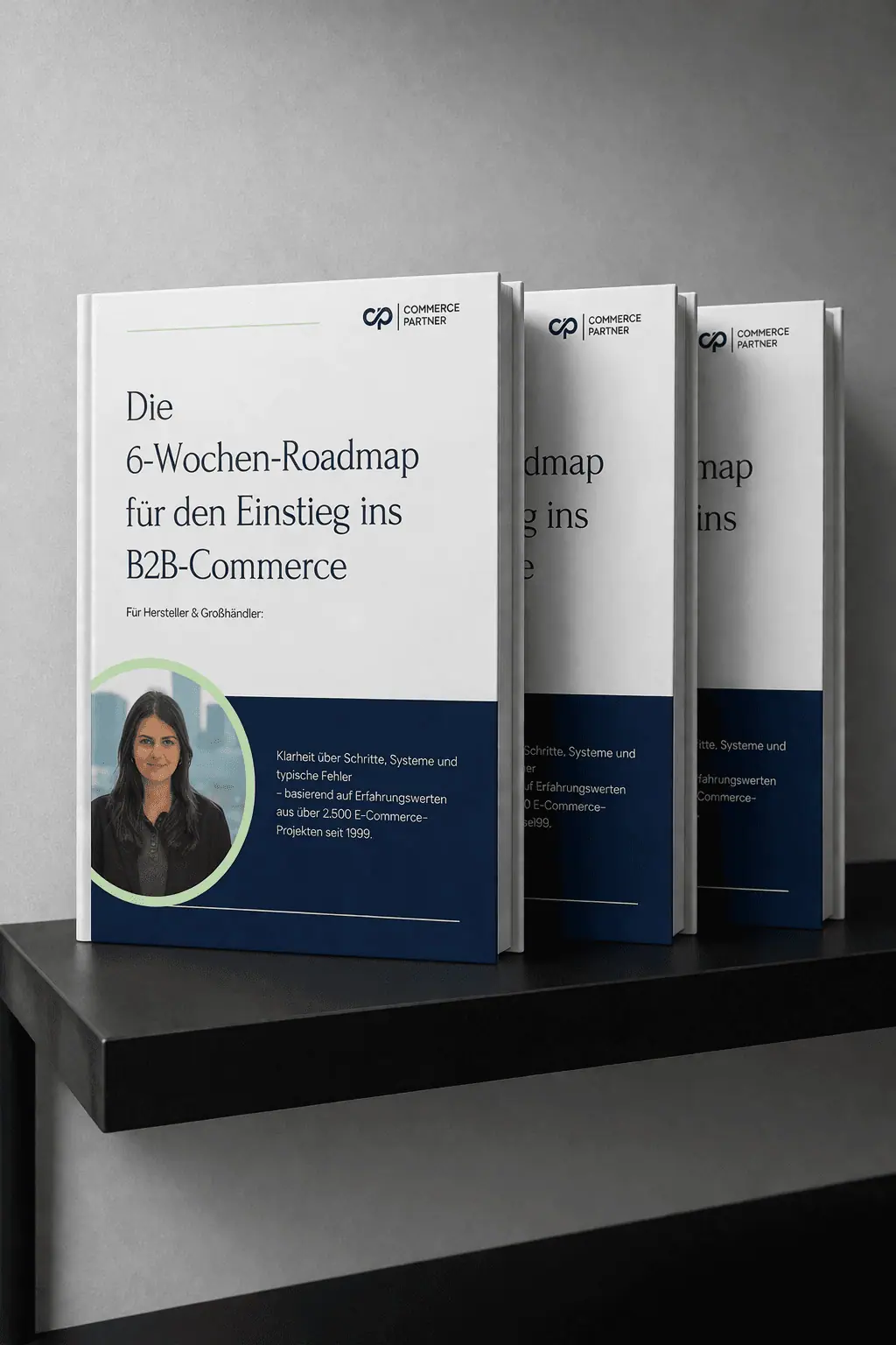 B2B E-Commerce Wissen für den Mittelstand