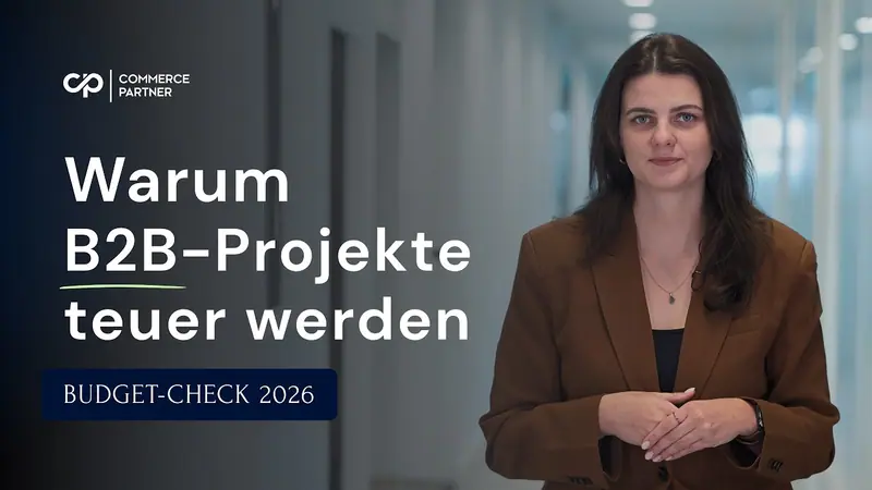 Vorschaubild: E-Commerce Kosten 2026: Der versteckte Kostenblock im B2B-Vertrieb